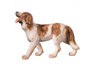 KÖ Hirtenhund color